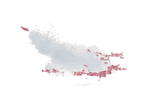 Delara Sabaghpour header background